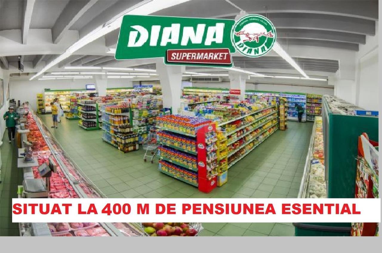 Pensiunea Esential Ocnele Mari Buitenkant foto