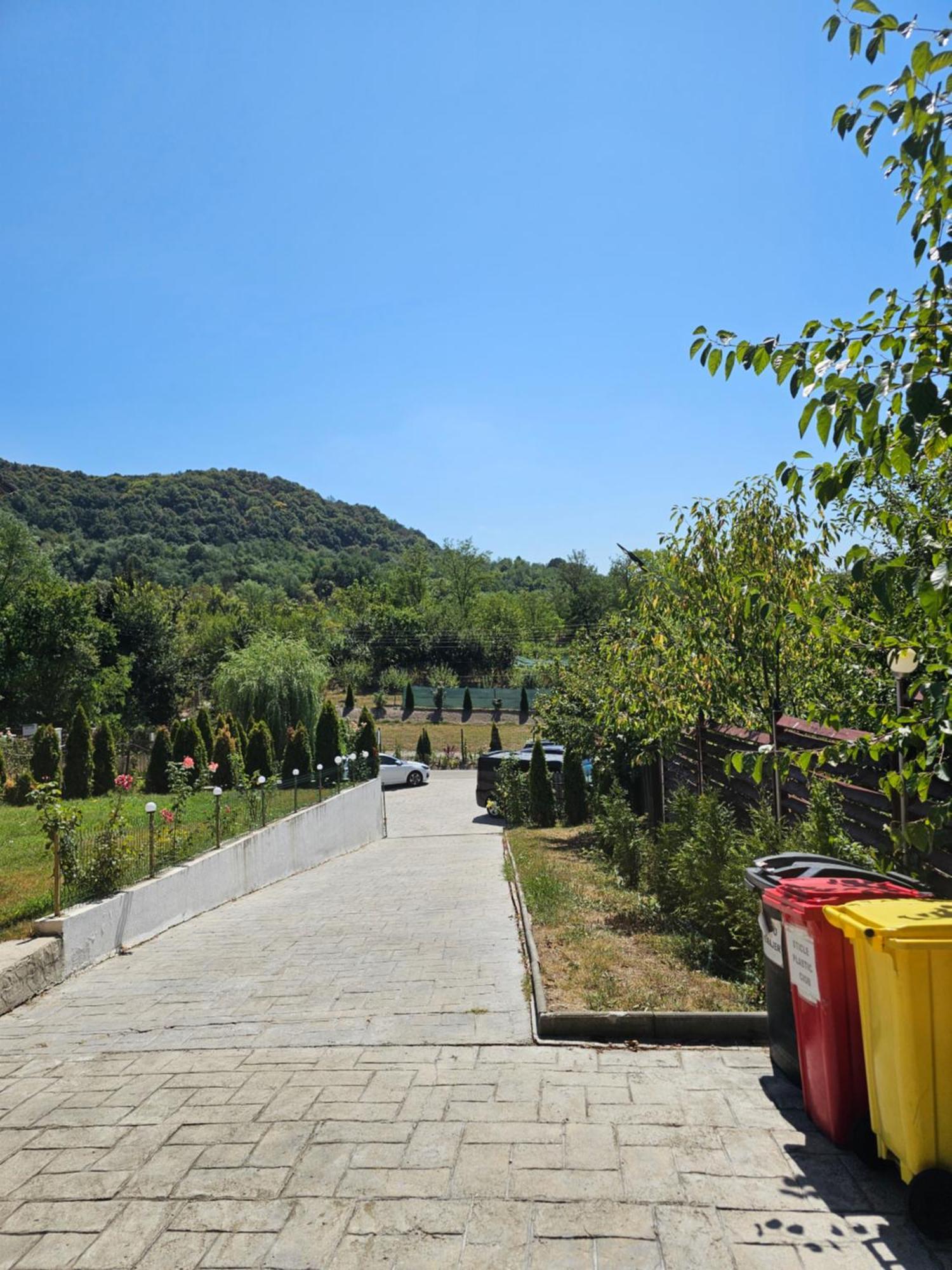 Pensiunea Esential Ocnele Mari Buitenkant foto